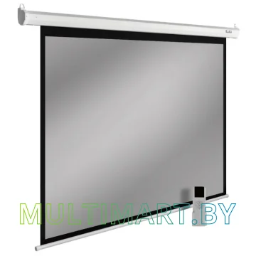 Проекционный экран CACTUS SIlverMotoExpert 150x200 (CS-PSSME-200X150-DG)